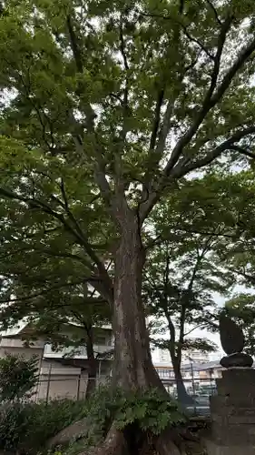愛宕神社(福島県)