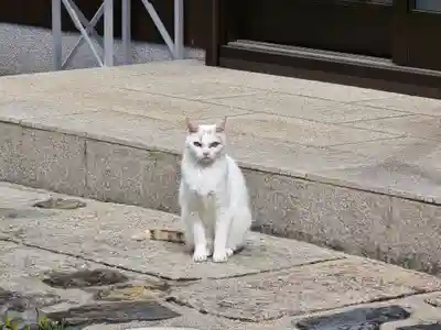 福寿院(京都府)