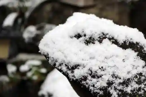 くまくま神社(導きの社 熊野町熊野神社)の狛犬