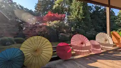 隨心院(随心院)(京都府)