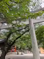 熊野神社の鳥居