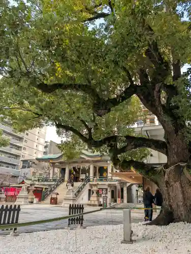 難波神社の{uncategorized: "未分類", other: "その他", undefined: "問題あり", building: "その他建物", grave: "お墓", sacred_gate: "鳥居", guardian: "狛犬", statue: "像", buddha: "仏像", history: "歴史", nature: "自然", garden: "庭園", animal: "動物", pagoda: "塔", temizu: "手水舎", mountain_gate: "山門・神門", sanctuary: "本殿・本堂", subordinate: "末社・摂社", art: "芸術", scenery: "景色", jizo: "地蔵", ema: "絵馬", goshuin: "御朱印", omikuji: "おみくじ", items: "授与品その他", amulet: "お守り", goshuincho: "御朱印帳", eats: "食事", festival: "お祭り", votive_dance: "神楽", shichigosan: "七五三参", wedding: "結婚式", experience: "体験その他", initially: "初詣", around: "周辺", anti_infection: "感染症対策"}