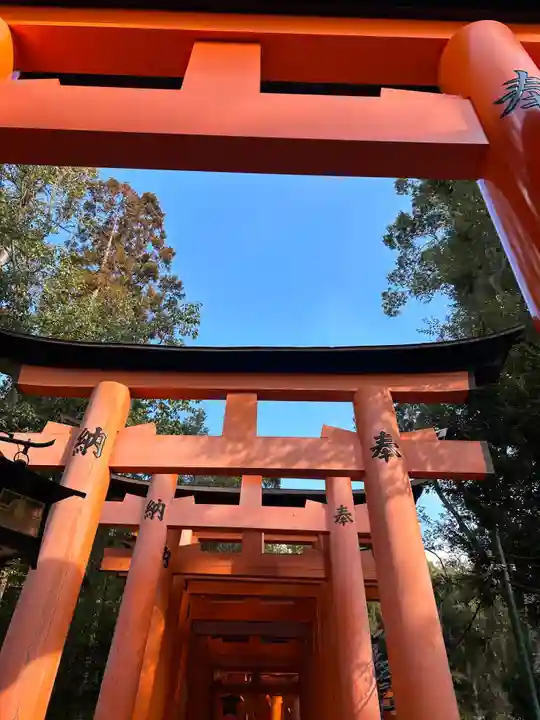 伏見稲荷大社(京都府)