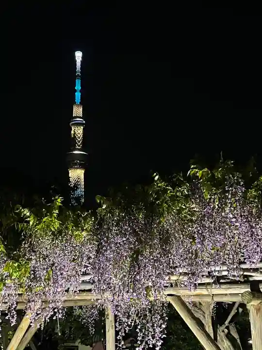 亀戸天神社(東京都)