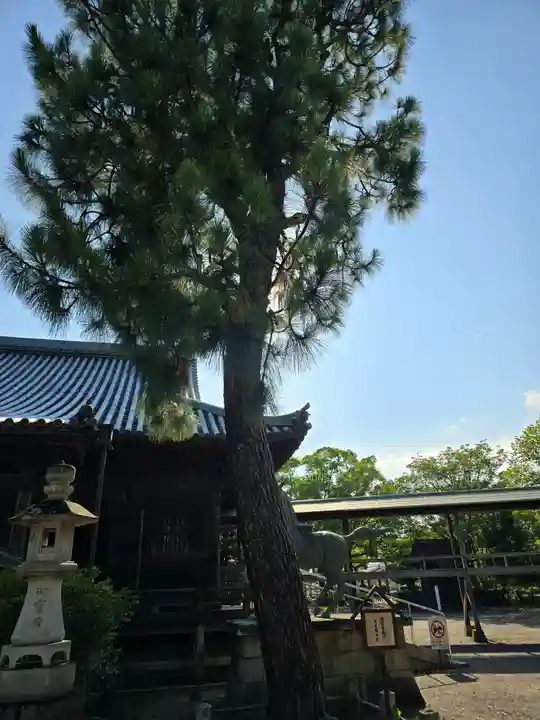 斑鳩寺のその他建物