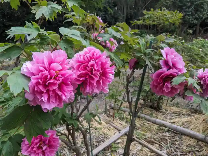 総持寺(滋賀県)