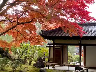 榮攝院（栄摂院）の山門・神門
