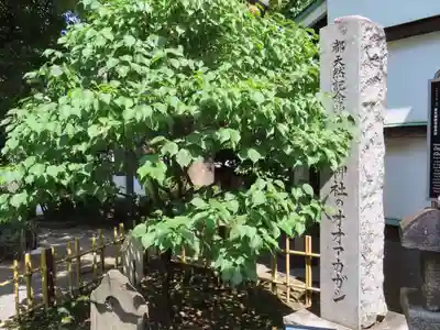 大鳥神社(東京都)