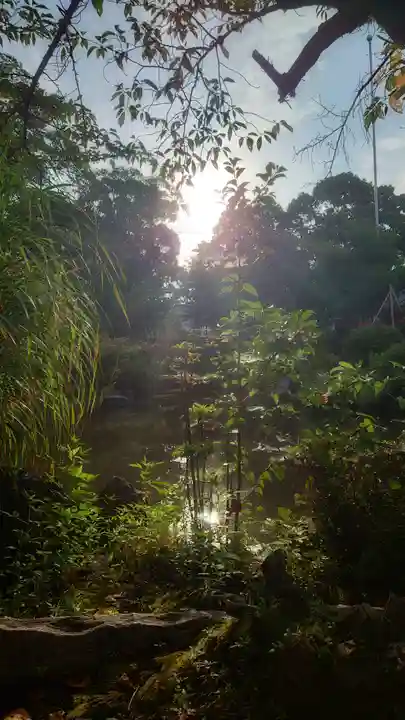 津島神社の自然