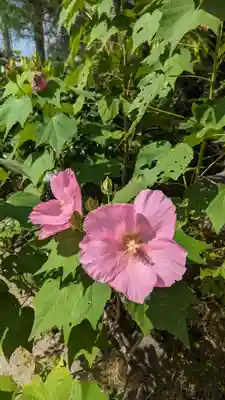 後白河院御聖蹟　法住寺(京都府)