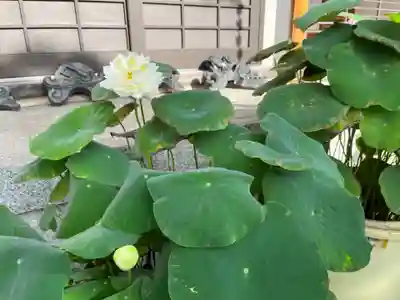 松本山 地福禅寺(滋賀県)