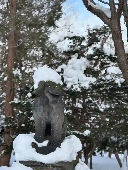 錦山天満宮の狛犬