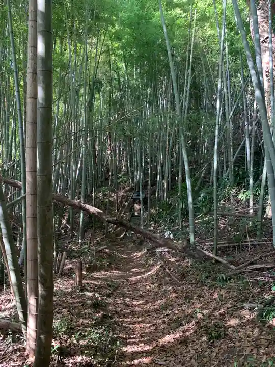熊野神社(千葉県)