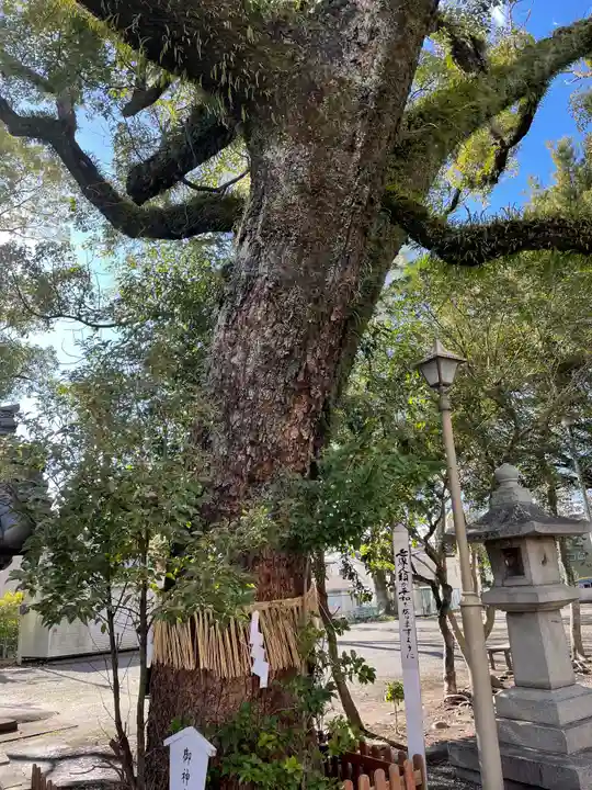 稲荷神社(静岡県)