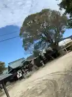 江泊神社の自然