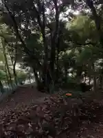 天満宮(千葉県)