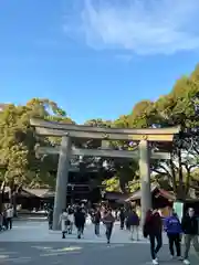 明治神宮(東京都)