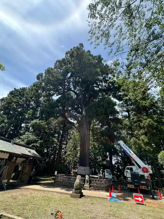 日高神社(岩手県)