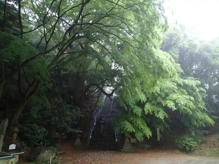 岩上神社の自然