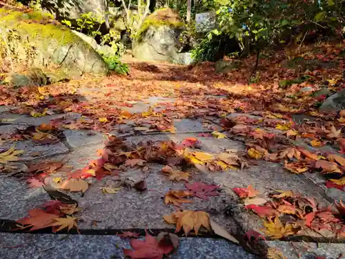 石都々古和気神社の自然