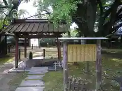 稲田禅房西念寺（稲田御坊）の手水