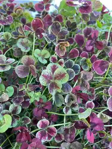 曹源院(秋田県)