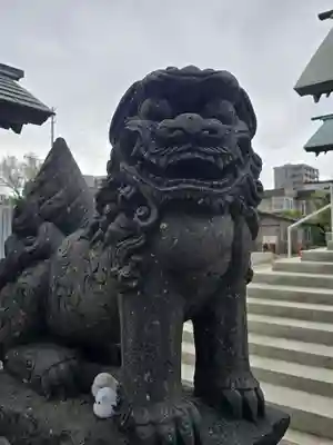 札幌諏訪神社の狛犬