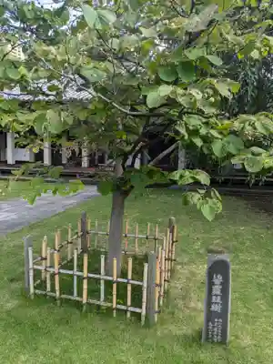 天王寺(東京都)