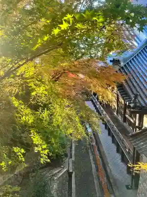 禅林寺（永観堂）(京都府)