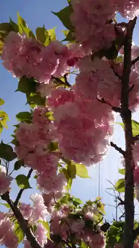 由加山 由加神社本宮(岡山県)