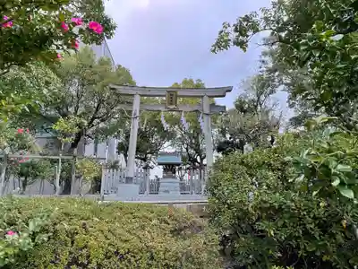 桜島神社の鳥居