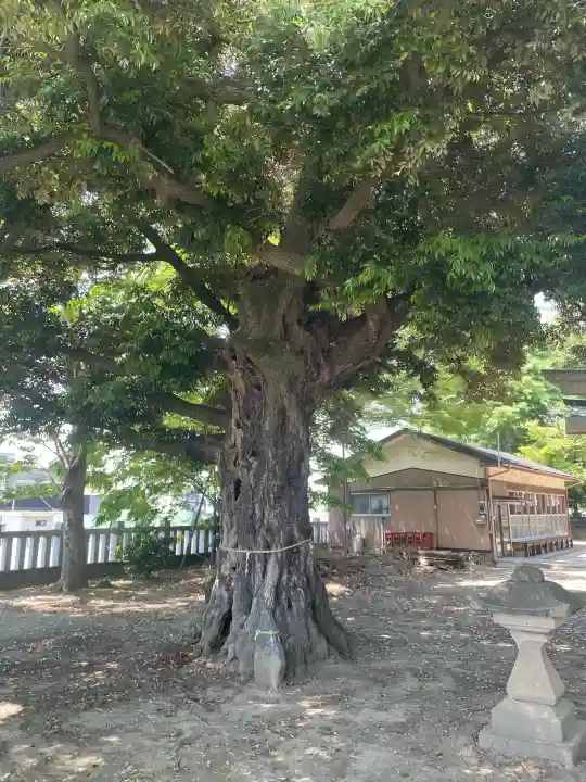 宗道神社の{uncategorized: "未分類", other: "その他", undefined: "問題あり", building: "その他建物", grave: "お墓", sacred_gate: "鳥居", guardian: "狛犬", statue: "像", buddha: "仏像", history: "歴史", nature: "自然", garden: "庭園", animal: "動物", pagoda: "塔", temizu: "手水舎", mountain_gate: "山門・神門", sanctuary: "本殿・本堂", subordinate: "末社・摂社", art: "芸術", scenery: "景色", jizo: "地蔵", ema: "絵馬", goshuin: "御朱印", omikuji: "おみくじ", items: "授与品その他", amulet: "お守り", goshuincho: "御朱印帳", eats: "食事", festival: "お祭り", votive_dance: "神楽", shichigosan: "七五三参", wedding: "結婚式", experience: "体験その他", initially: "初詣", around: "周辺", anti_infection: "感染症対策"}