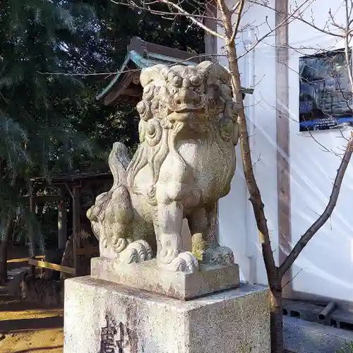 小岩神社の狛犬