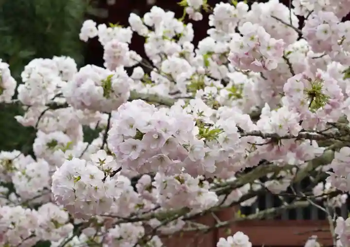 赤堂観音の自然