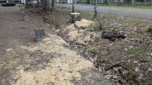 雨紛神社の自然