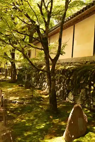 二尊院(京都府)