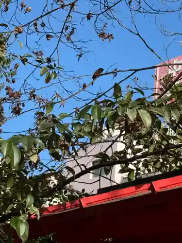 三輪神社(愛知県)