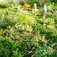 寿量山 速成寺の自然