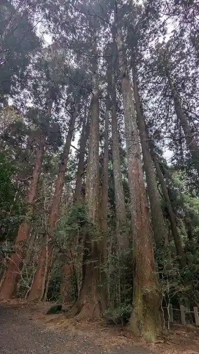 槵觸神社(宮崎県)