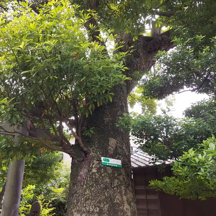 鹿嶋神社の自然