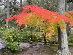 唐招提寺(奈良県)