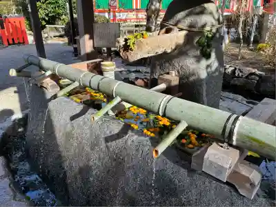 賀茂別雷神社（上賀茂神社）(京都府)