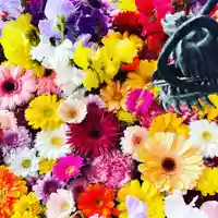 札幌諏訪神社の手水舎