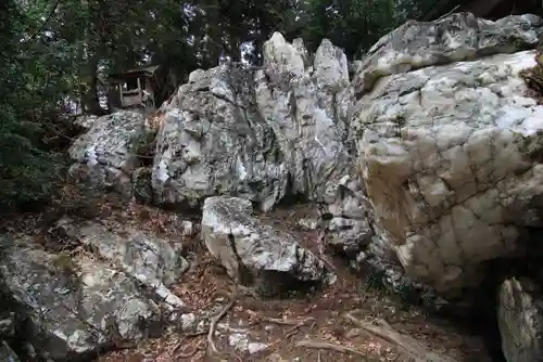 鹿島大神宮の自然