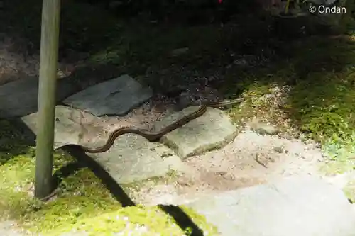 金剛輪寺(滋賀県)