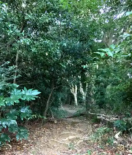 足立山妙見宮（御祖神社）の自然