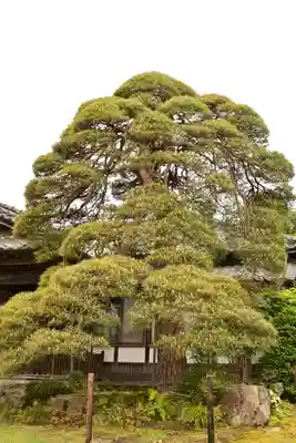 大光普照寺(埼玉県)