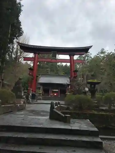 北口本宮冨士浅間神社の鳥居