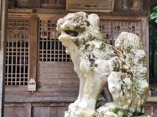 佐地神社の狛犬