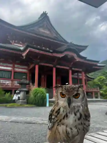 甲斐善光寺(山梨県)